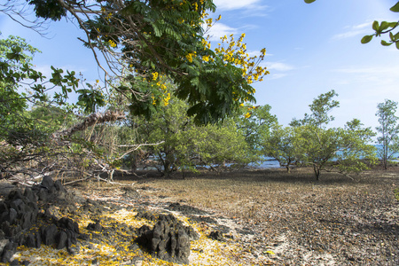 Koh 穆海岸行