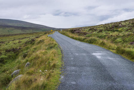 穿过爱尔兰山区的公路