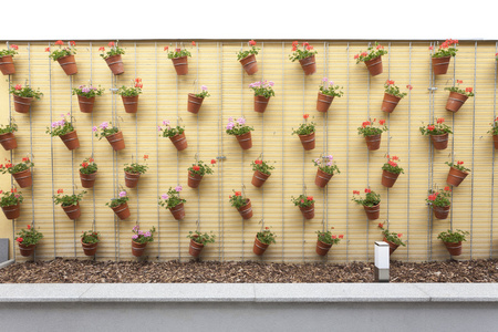 墙与多种花盆
