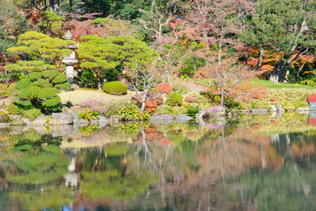 秋叶在圭古川花园，东京