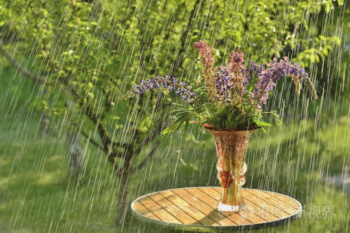 夏天的雨和花