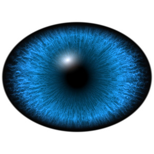 椭圆的蓝色虹膜，眼中的光反射