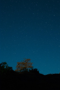 繁星点点的天空