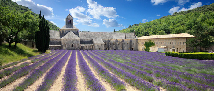 法国Senanque修道院