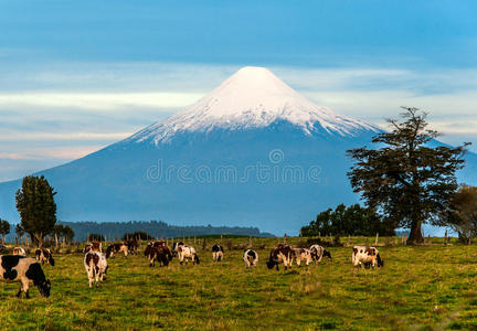 智利湖区奥索尔诺火山