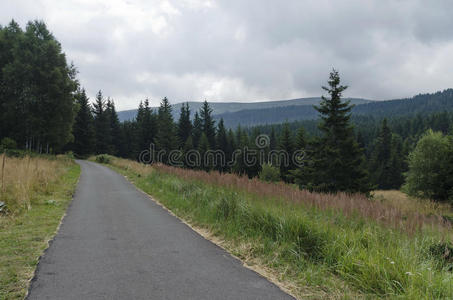 风景如画的森林全景，有公路和空地，维多沙山