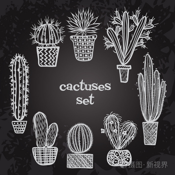 插画 平的粉笔主板黑白插图的肉质植物,仙人掌在花盆里.