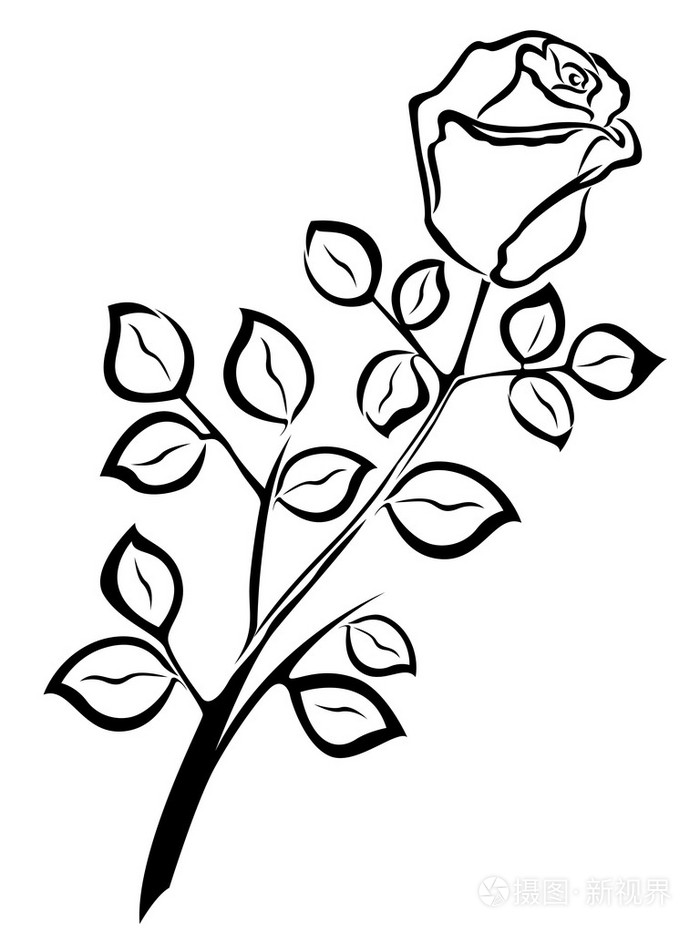 单玫瑰花黑色轮廓