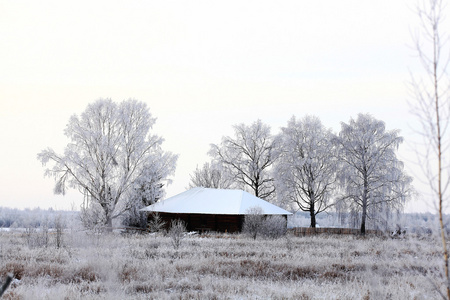 冬天森林风景与房子