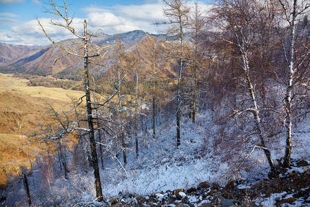 查克塔曼山口景观