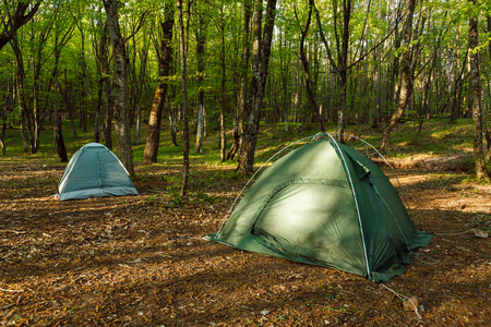 在美丽的森林中间有两个帐篷营地