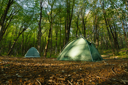 在美丽的森林中间有两个帐篷营地