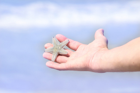 雄手与海星对抗大海