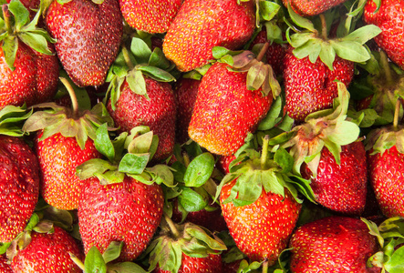 新鲜多汁成熟草莓的背景