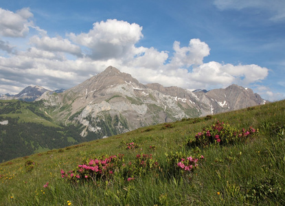 山名为 Spitzhorn 和 Alpenrosen