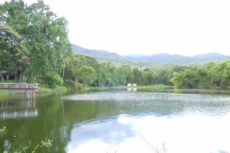 风景秀丽的山和池塘