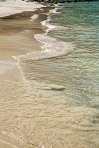 在道湾海岸线海的抽象泡沫图片