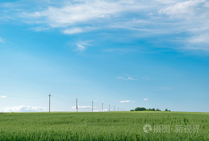 在蓝天下 力量线穿过无尽的绿地 向地平线延伸