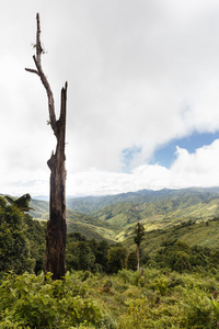 在缅甸的山水风景