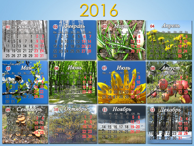 2016年日历与12张自然照片
