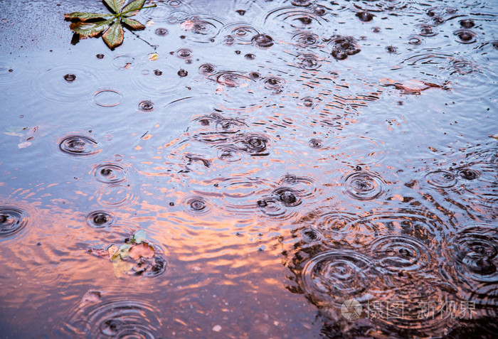 夏天的雨, 池子里的水滴