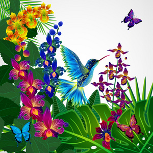 花艺设计背景。热带兰花花鸟