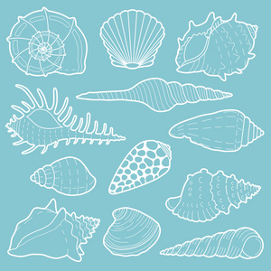白海贝壳矢量图标集