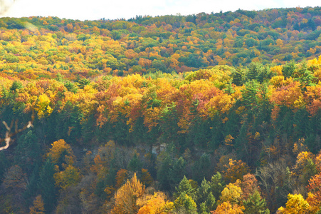 秋季莱奇沃思州立公园