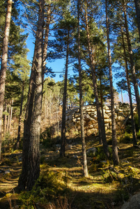 与安道尔山区景观