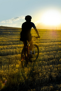 骑自行车的人骑在美丽的草田上