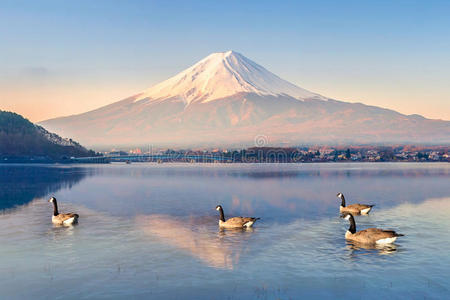 清晨的富士山