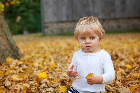 小男孩在秋天公园玩耍