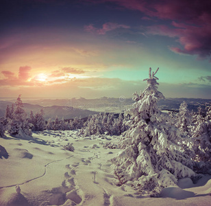 山上美丽的冬季景色。