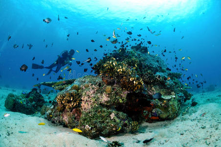 潜水员，各种珊瑚鱼和珊瑚礁在基利，龙目岛，努沙登加拉巴拉特，印度尼西亚水下照片