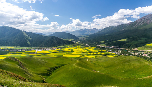 祁连县丹霞景区海油菜花