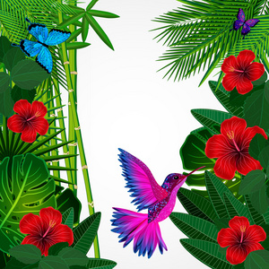 热带花卉设计背景与鸟，蝴蝶