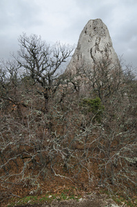 在克里米亚山