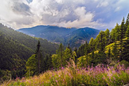 美丽的野生山景观在喀尔巴阡山脉，R