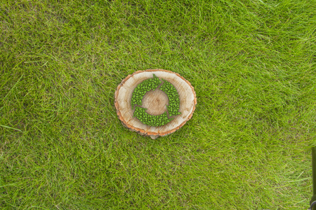 用循环符号，顶视图草地上的树桩