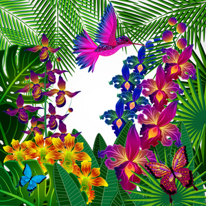 花艺设计背景。热带兰花花鸟