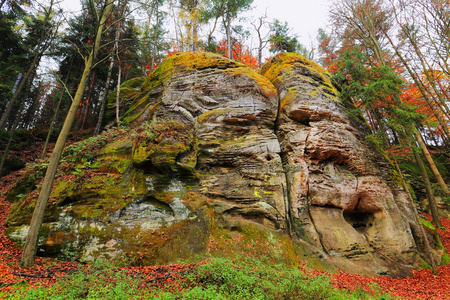 秋天风景与砂岩岩石捷克波希米亚天堂，