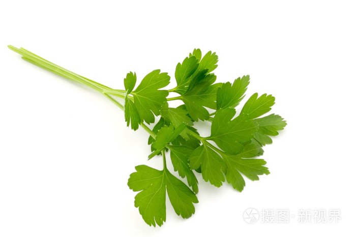 意大利欧芹