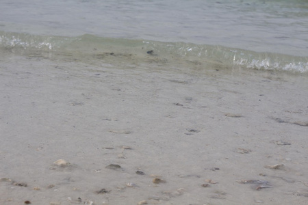 沙滩上的海浪。照片