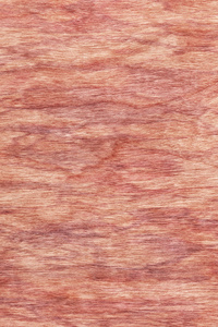 樱桃木单板漂白染色的 Grunge 纹理样本
