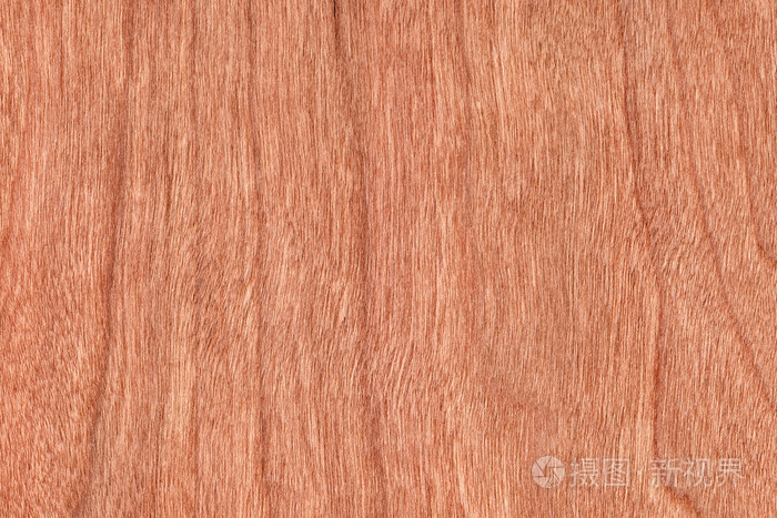 樱桃木单板 grunge 纹理样本