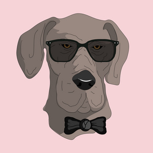 在眼镜的时髦狗
