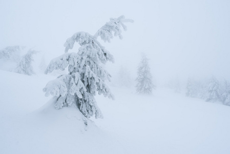 神话般的冬景图片