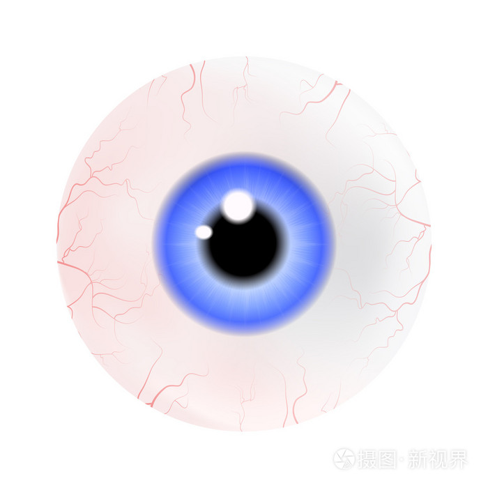 形象逼真的人类眼睛球的多彩的瞳孔,虹膜.孤立在白色背景上的矢量图