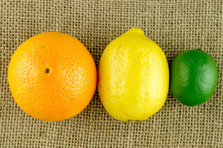 多彩的柑橘属水果