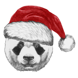 熊猫与圣诞老人的帽子